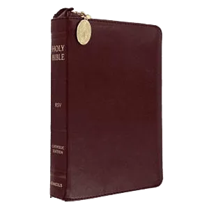 Bible - RSV Catholic Edition - Compact