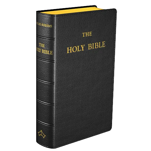Douay-Rheims Bible (Pocket size)