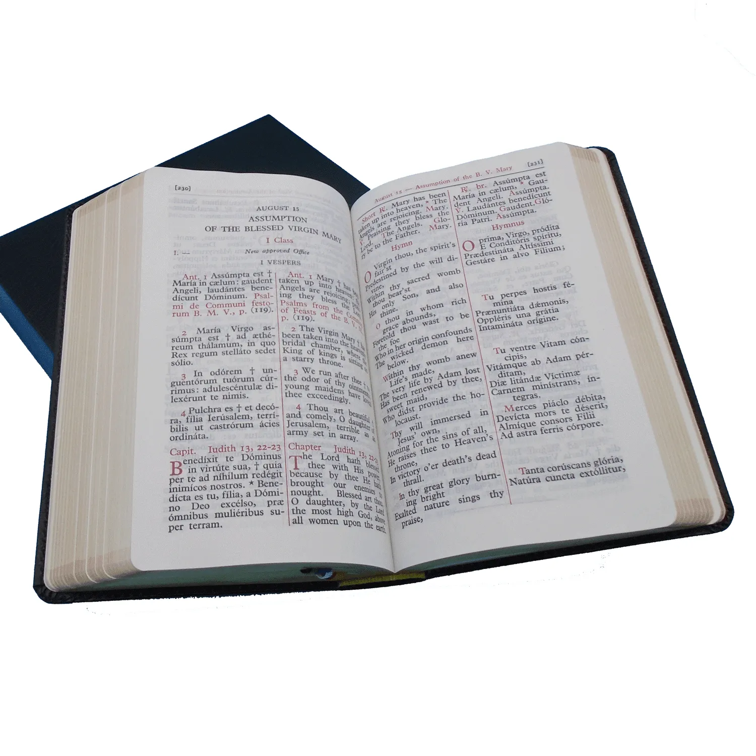 Monastic Diurnal - Liturgical Book - Image 2